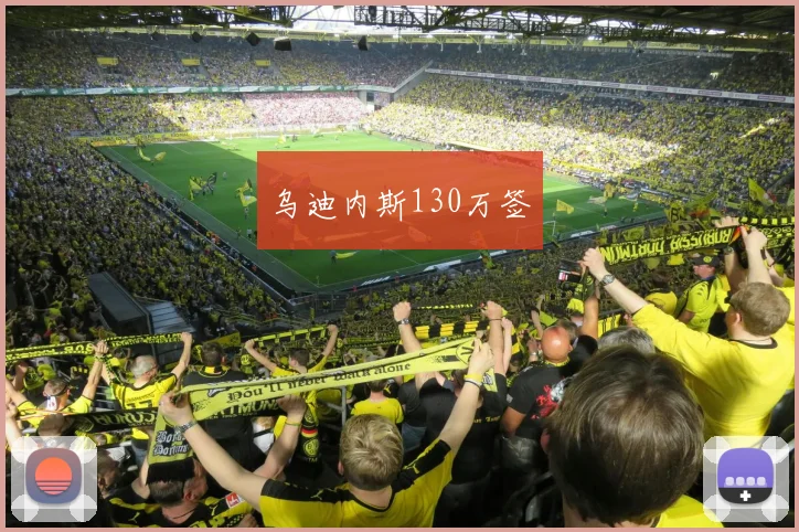 乌迪内斯130万签