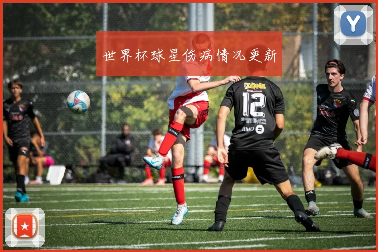 世界杯球星伤病情况更新